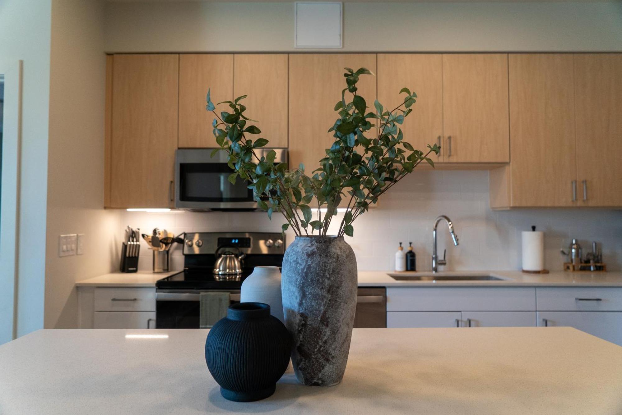 Apartment Desert Zen House Phoenix